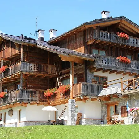 Kratter Alpenplick * سابادا