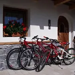 Kratter Alpenplick