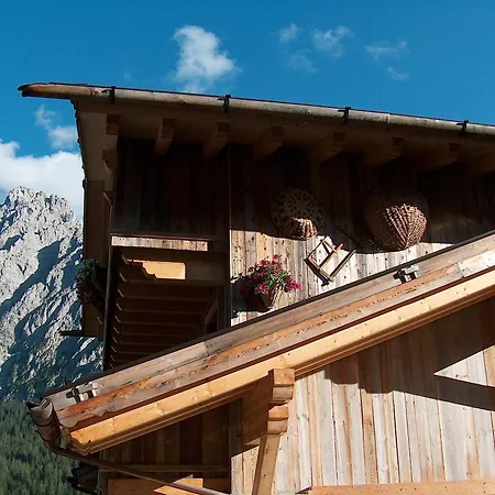 Kratter Alpenplick